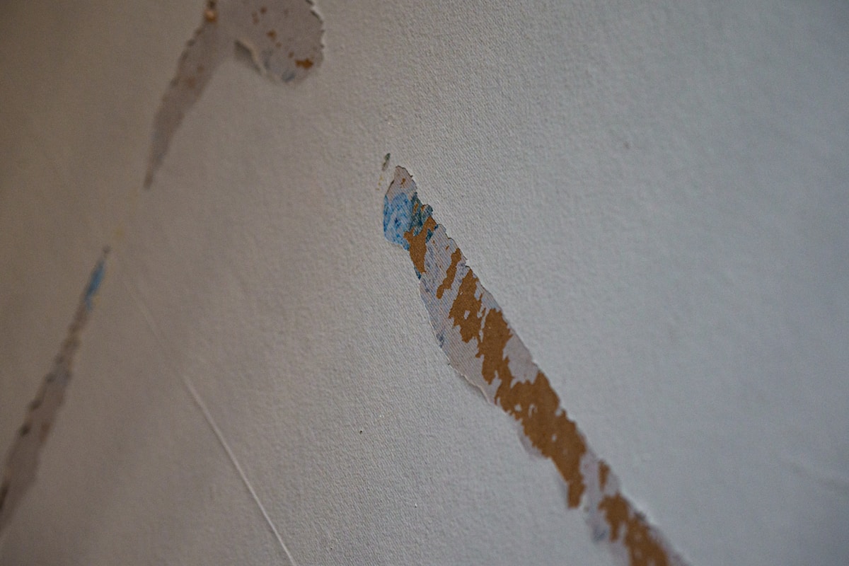 Mold Remediation service in Stamford, CT